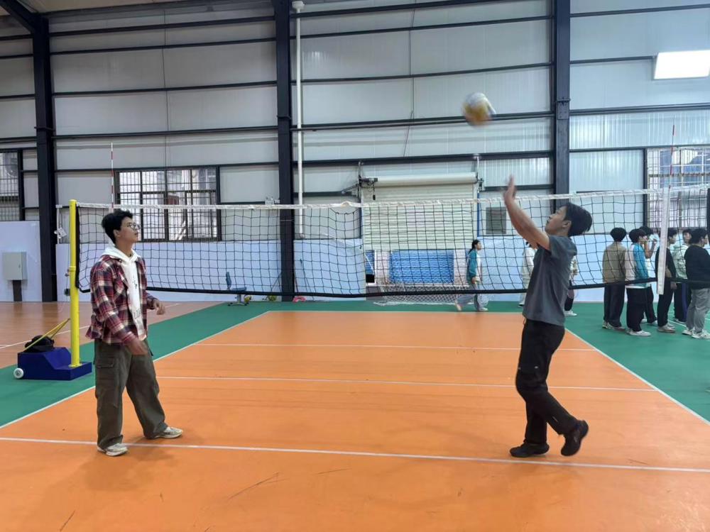 d736a6ce810a8d8bb8c2301dafc99e9